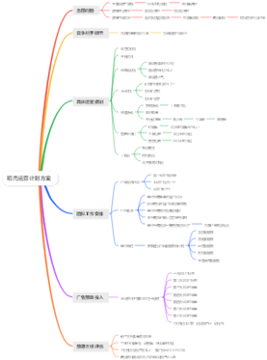 稻壳运营计划方案