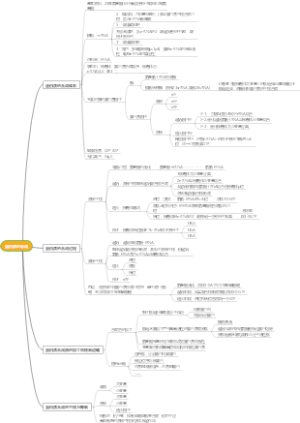 蛋白质的合成