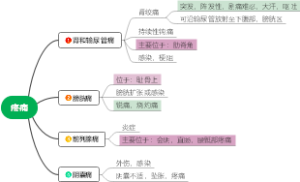 泌尿系统疼痛