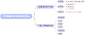 进口跨境电商的生态链和主流平台