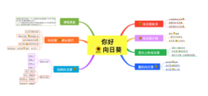 向日葵主题课程思维导图