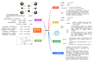 地球运动