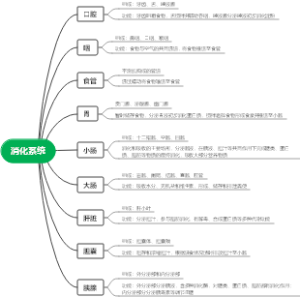 消化系统