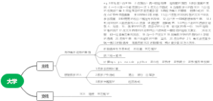 个人规划-主线与副线