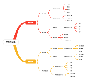 开花和结果