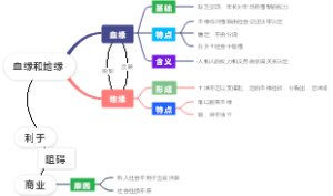 血缘和地缘   名实的分离
