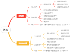 生理学-胰岛思维导图