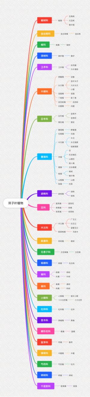 双子叶植物