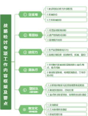 战略检讨专项工作内容框架及要点