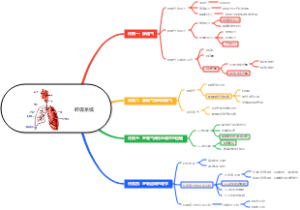 医学-呼吸系统思维导图