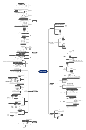 行测文科·强化版