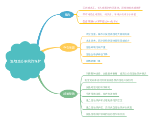 湿地生态系统的保护