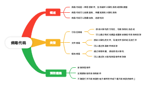 病毒代码