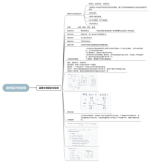 遗传因子的发现