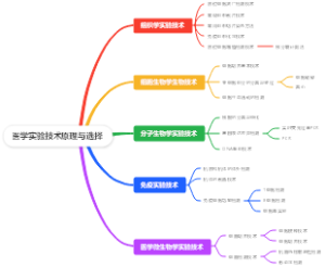 医学实验技术原理与选择