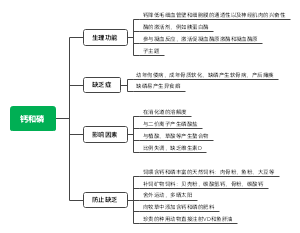 钙和磷