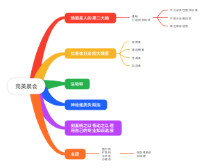 完美晨会松果体讲解