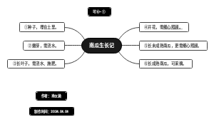 《南瓜生长记》
