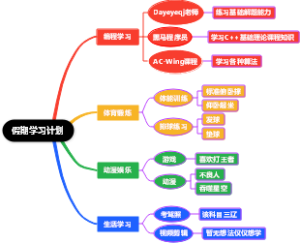 个人的假期学习计划