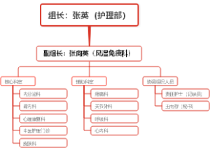 护理部组织结构图