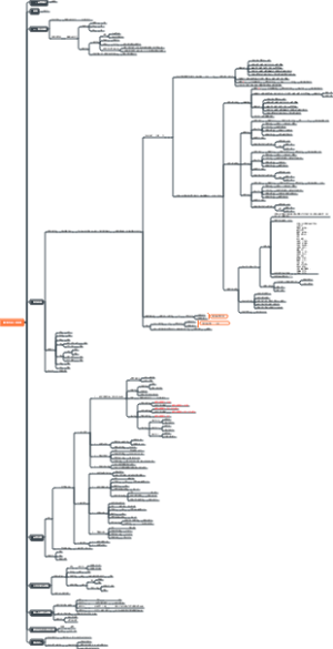 全国各省2024年规划（新)