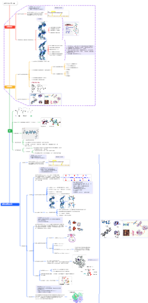蛋白总论第二课