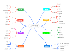 人体八大系统