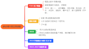 2025年1月工作计划