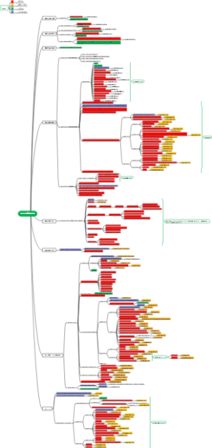 大型园区整体进展跟踪表
