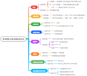原核细胞与真核细胞的区别