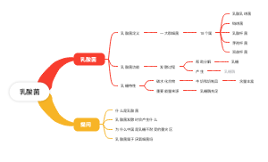 乳酸菌
