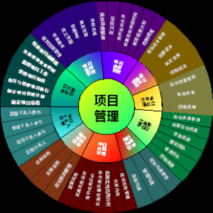 信息系统管理师 十大管理