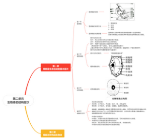 七年级上册生物第二单元生物体的结构层次