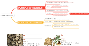 伤寒易玄第二十五讲