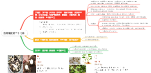 伤寒易玄第二十七讲