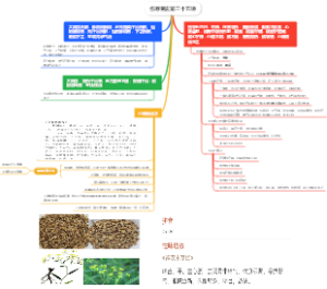 伤寒易玄第三十五讲