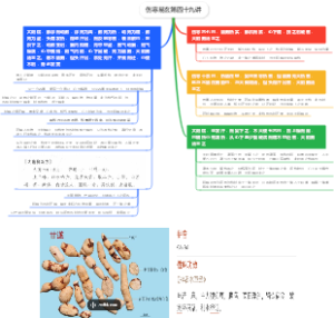 伤寒易玄第四十九讲