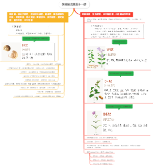 伤寒易玄第五十一讲