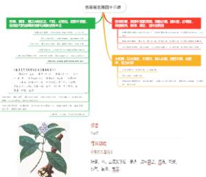 伤寒易玄第四十三讲