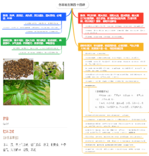 伤寒易玄第四十四讲