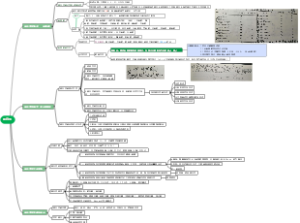 生物化学第一章蛋白质王镜岩版