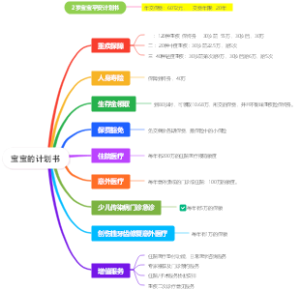 宝宝的计划书