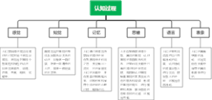 认知过程思维导图