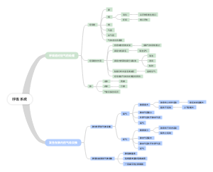 人教版七年级下册生物呼吸系统