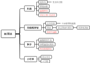 新媒体渠道分析