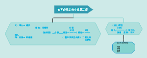 七年级下册必背生物内容第二节内容