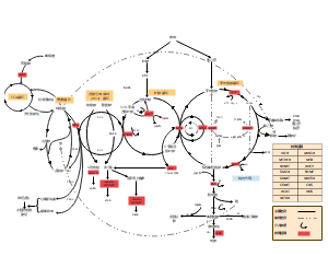 甲基化循环图 2024.08.01