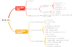 认知发展
