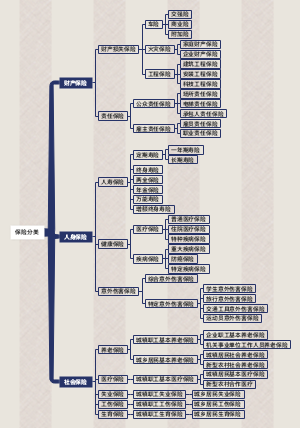 保险分类