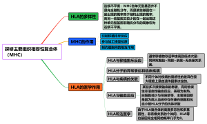 探研主要组织相容性